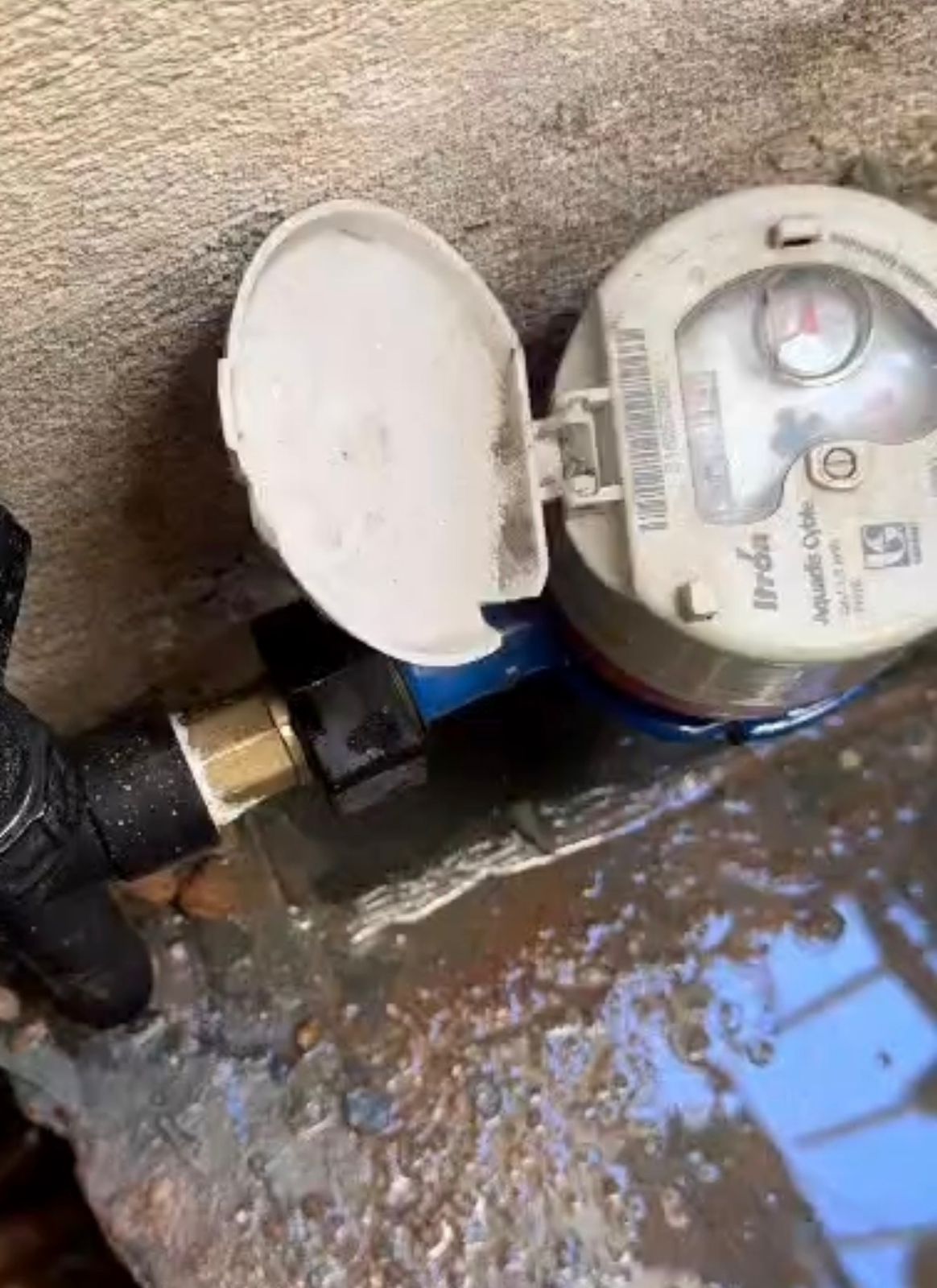 Válvula de retenção de ar